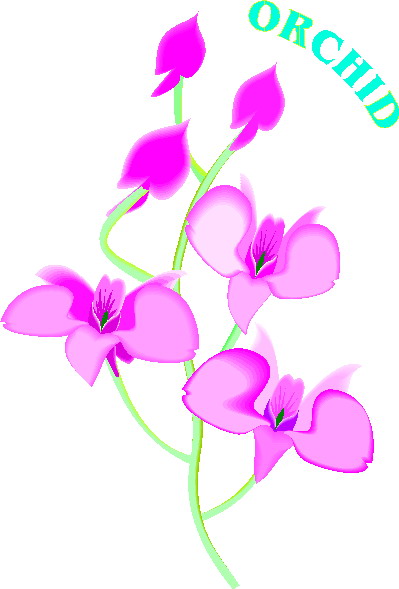 orchidee-image-animee-0004