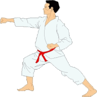 karate-image-animee-0023