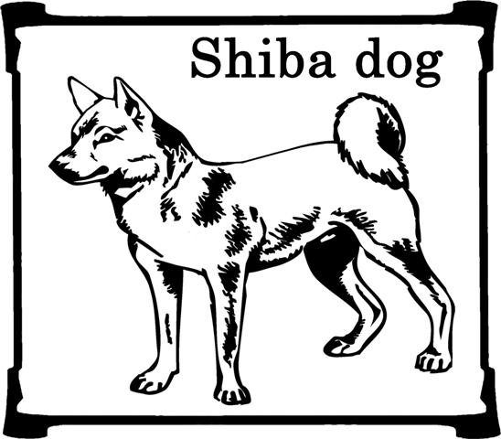 shiba-image-animee-0006