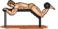 bodybuilding-image-animee-0029