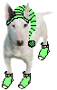 bull-terrier-image-animee-0021