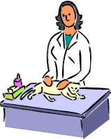 veterinaire-image-animee-0020