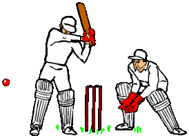 cricket-image-animee-0005