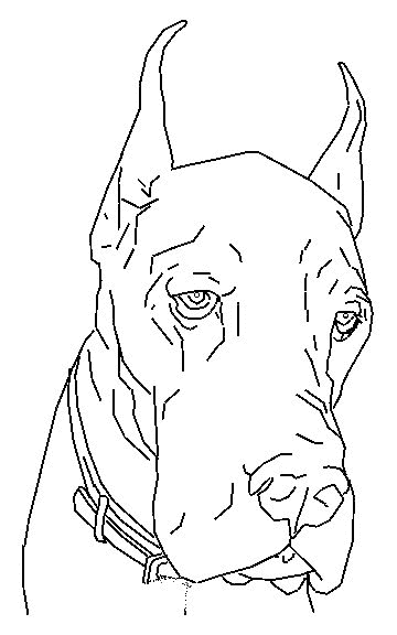 coloriage-chien-image-animee-0008