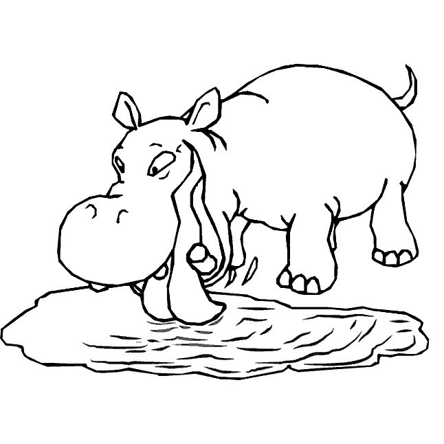 coloriage-hippopotame-image-animee-0015