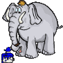 elephant-image-animee-0070
