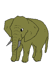 elephant-image-animee-0143