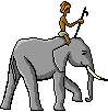 elephant-image-animee-0167