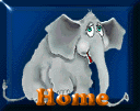 elephant-image-animee-0223