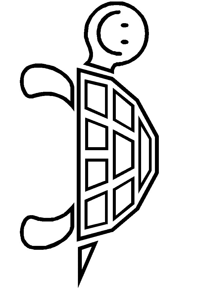 coloriage-tortue-et-tortue-de-mer-image-animee-0011