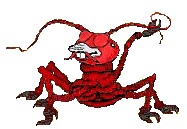 crabe-image-animee-0028