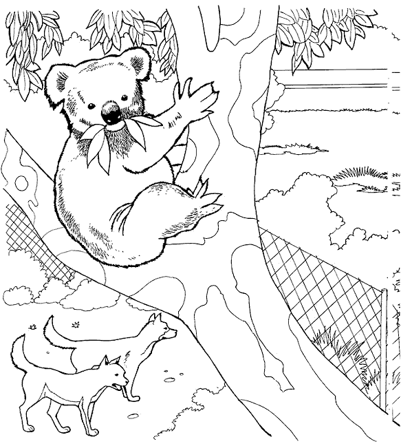 coloriage-zoo-image-animee-0009