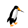 pingouin-image-animee-0143