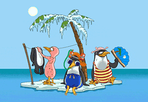 pingouin-image-animee-0187