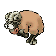mouton-image-animee-0097