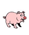 cochon-image-animee-0019