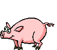 cochon-image-animee-0020