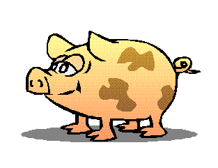 cochon-image-animee-0025