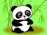 panda-image-animee-0082