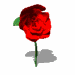 rose-image-animee-0024
