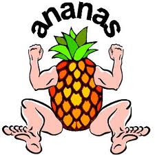 ananas-image-animee-0009