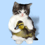 avatar-d-animal-image-animee-0183