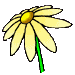fleur-image-animee-0382