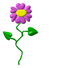 fleur-image-animee-0443