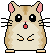 hamster-image-animee-0012