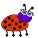 coccinelle-image-animee-0036