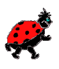 coccinelle-image-animee-0066