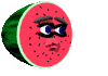 melon-image-animee-0011