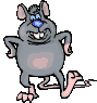 rat-image-animee-0007