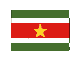 drapeau-du-surinam-image-animee-0006