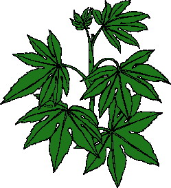 feuille-image-animee-0111