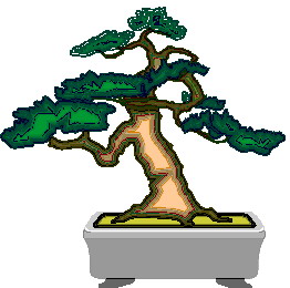 bonsai-image-animee-0048