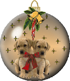 animal-de-noel-image-animee-0074