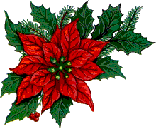 fleur-de-noel-image-animee-0027