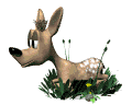 cerf-et-biche-image-animee-0060