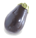 aubergine-image-animee-0016