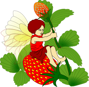 elfe-image-animee-0449