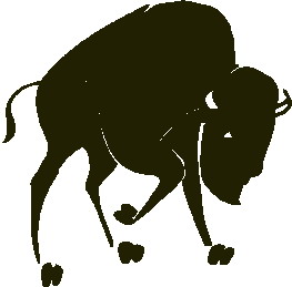 buffle-image-animee-0063