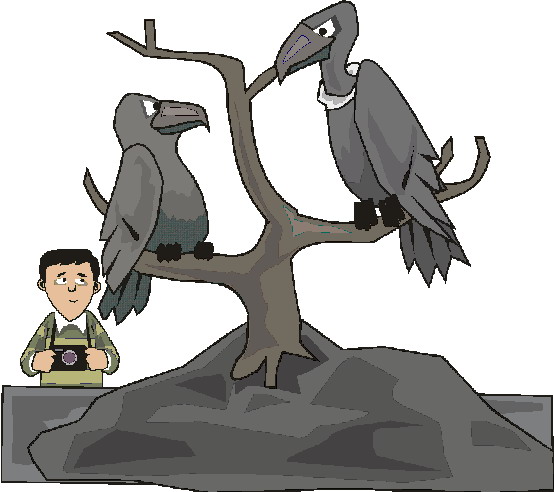 zoo-image-animee-0054