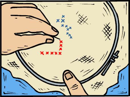 point-de-croix-image-animee-0010