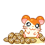 hamtaro-image-animee-0109