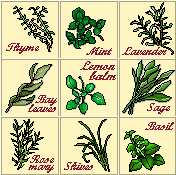 herbe-et-epice-image-animee-0040