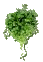 herbe-et-epice-image-animee-0049