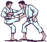 judo-image-animee-0016