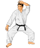 judo-image-animee-0041