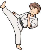 karate-image-animee-0026